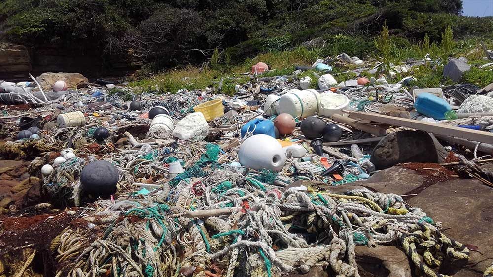 対策が急がれる海洋プラスチック問題。私たちにできることは